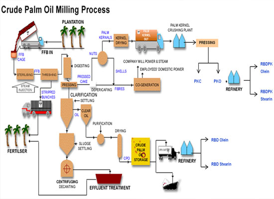 palm oil processing process 