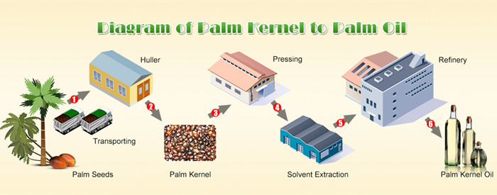 palm oil production process