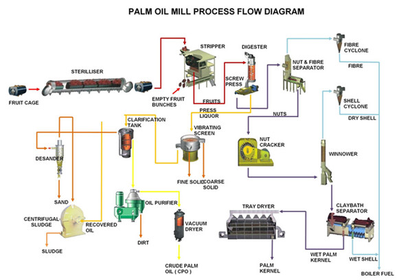 palm oil production process