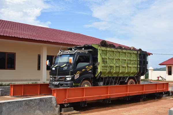 palm oil production