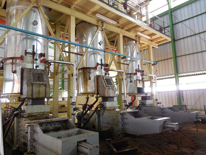 palm oil production machine