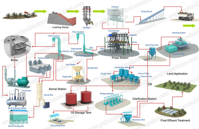 palm oil making machine 