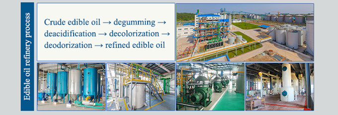 palm oil refining machine 