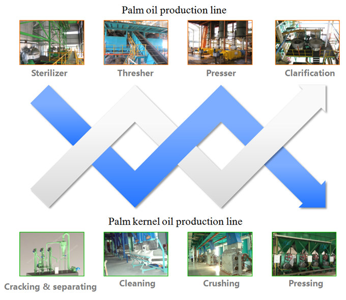 palm kernel oil production machine 