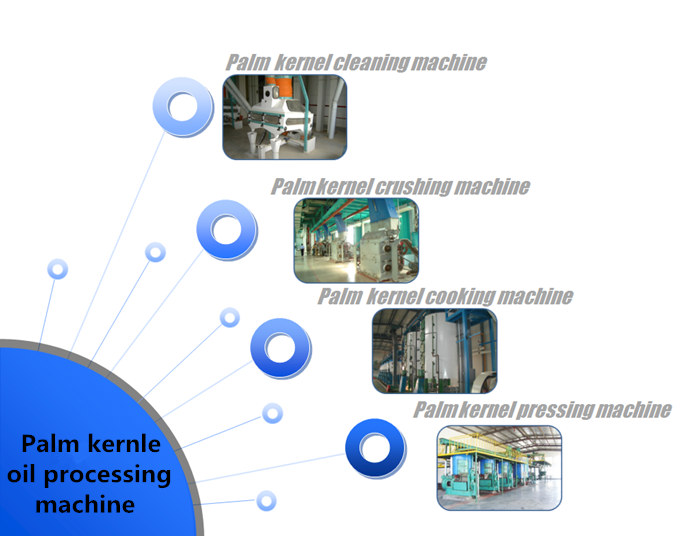 palm kernel oil processing plant 