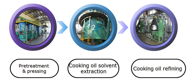 rice bran oil production line