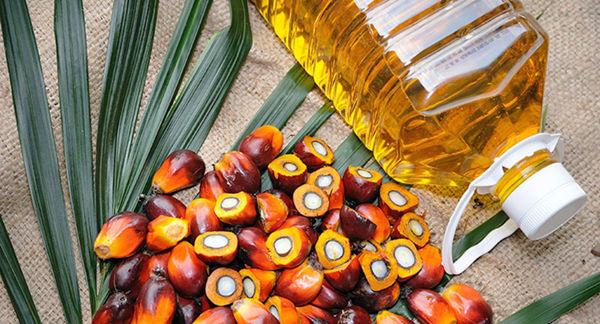 palm oil 