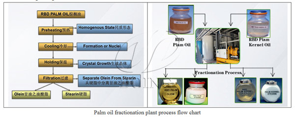 palm kernel oil fractionation plant 