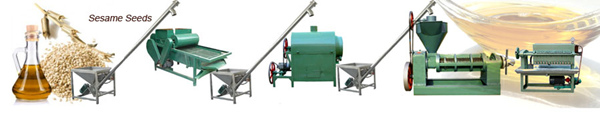 sesame oil extraction line 