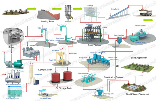 palm oil extarction process flow chart