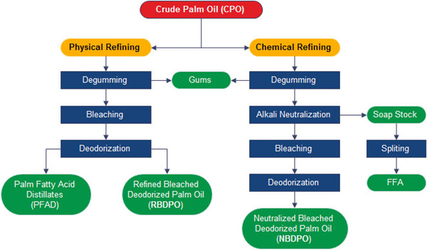 palm oil refining process