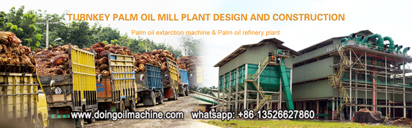 palm oil mill plant 