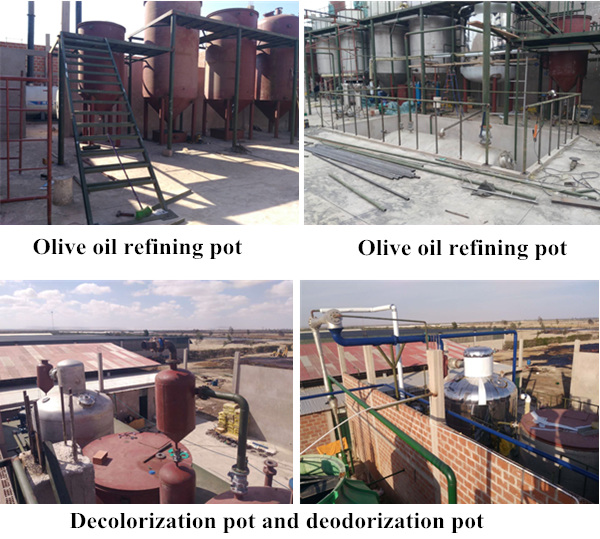 olive oil refinery plant 