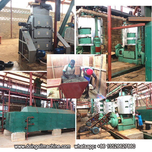 palm kernel oil pressing machine 