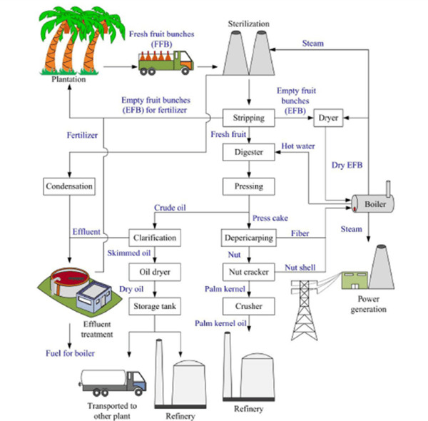 Palm Oil Flow Chart