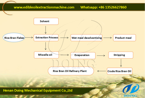 rice bran oil extraction process