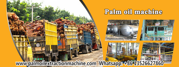 palm oil milling machine 