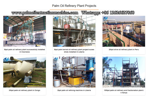 edible oil refinery plant