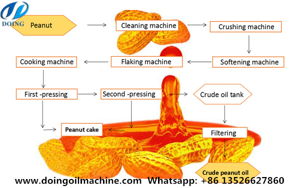 peanut oil extraction process