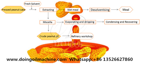 peanut oil extraction process