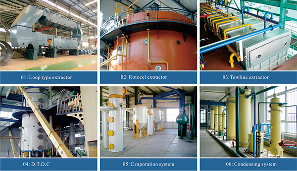 vegetable oil solvent extraction plant 