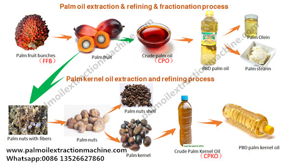 palm oil production process