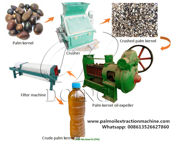 palm kernel oil processing plant 