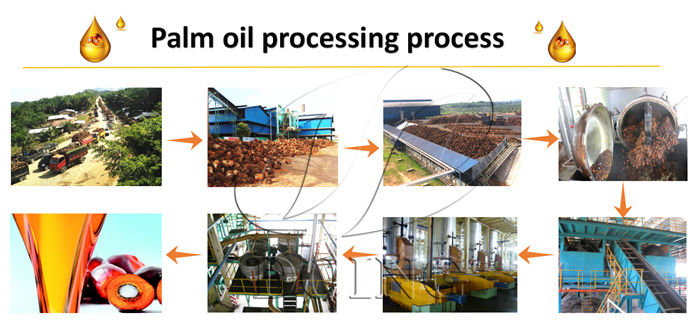 palm oil production process