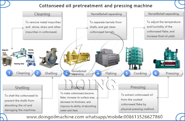 cottonseed oil production machine