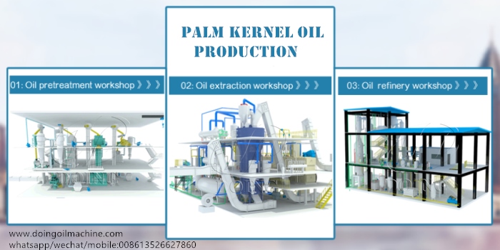 palm kernel oil processing plant