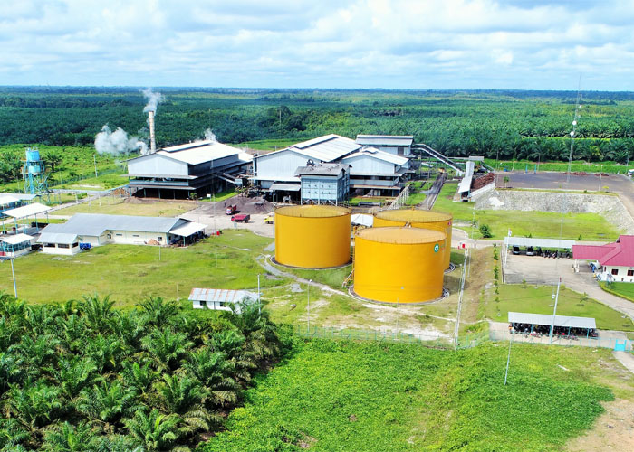 palm oil press plant