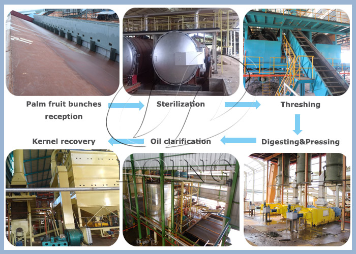 palm oil press process