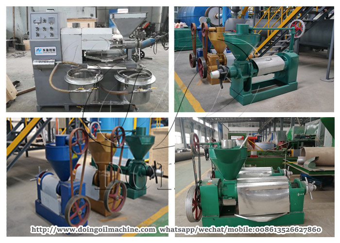 cooking oil press machine