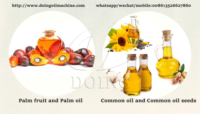 palm oil anfd cooking oil