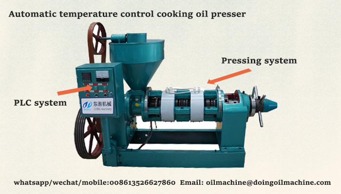 cooking oil pressing machine