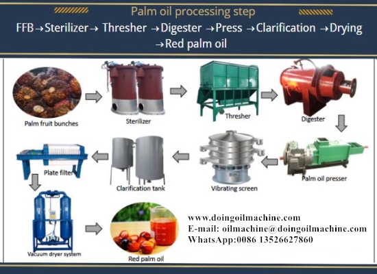 palm oil making process