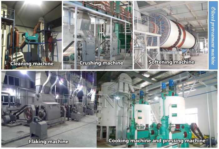 peanut oil extraction machine