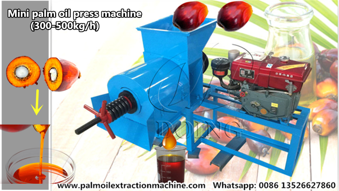 Palm oil press