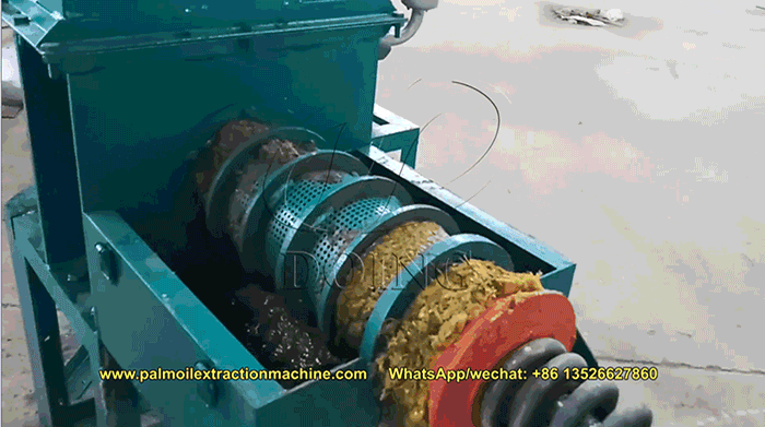palm oil press working video from our customer