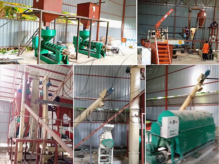 palm kernel oil extraction machine