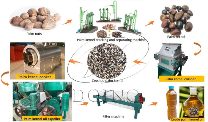 palm kernel oil production process