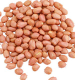  peanut oilseed 