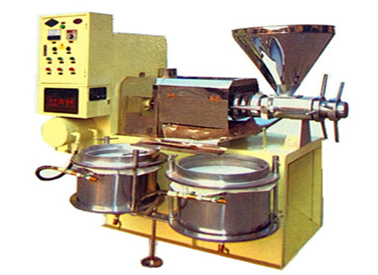 Home oil press machine 