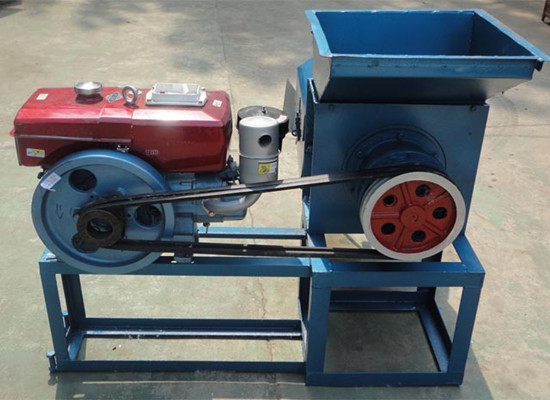 Small scale palm oil extraction machine