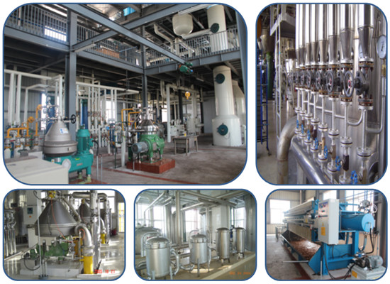 Sunflower oil refining machine technology