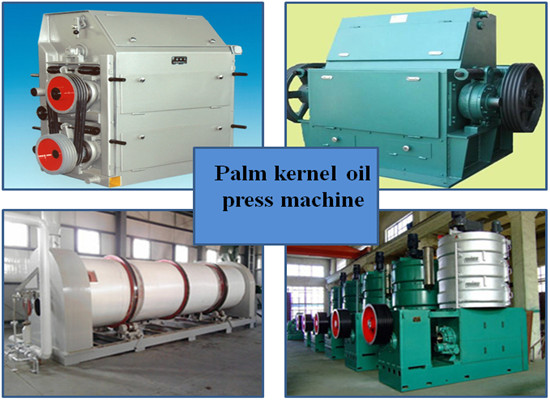 Palm kernel oil expeller