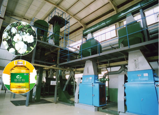 Cottonseed oil extraction plant