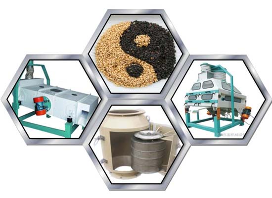 Sesame oil extraction machinery 