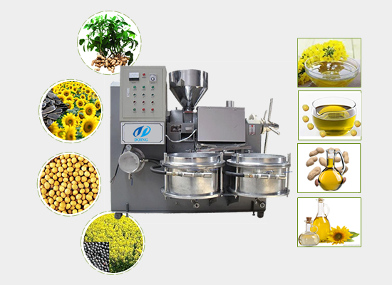 Mustard seed oil expeller