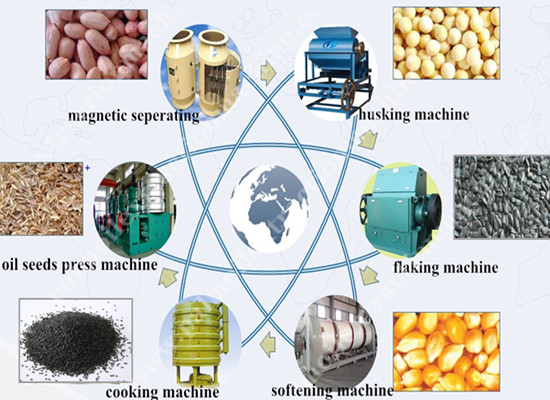 Small scale oil pressing line